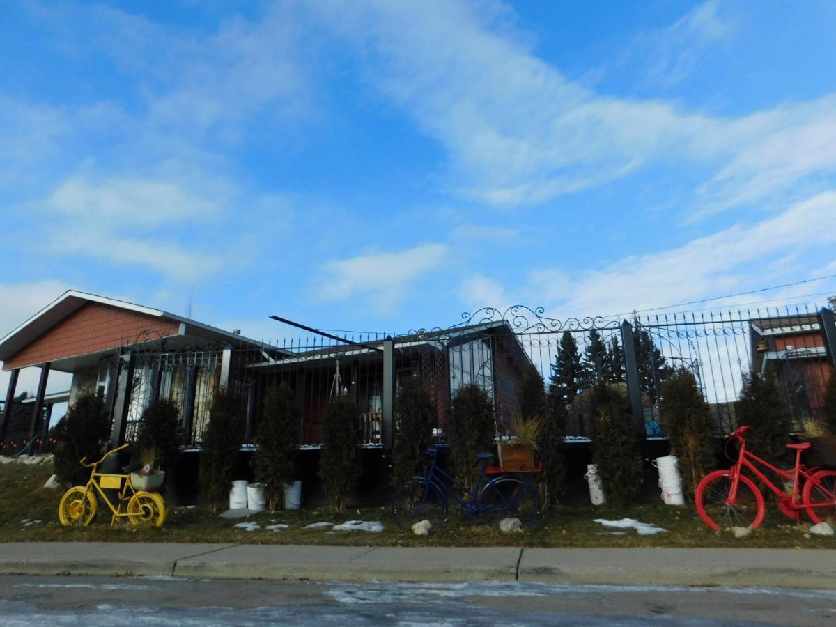 The Calgary Hub Hostel Style Home Exterior foto